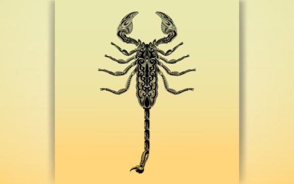 Decorative Scorpion Coloring Page KID Graphics